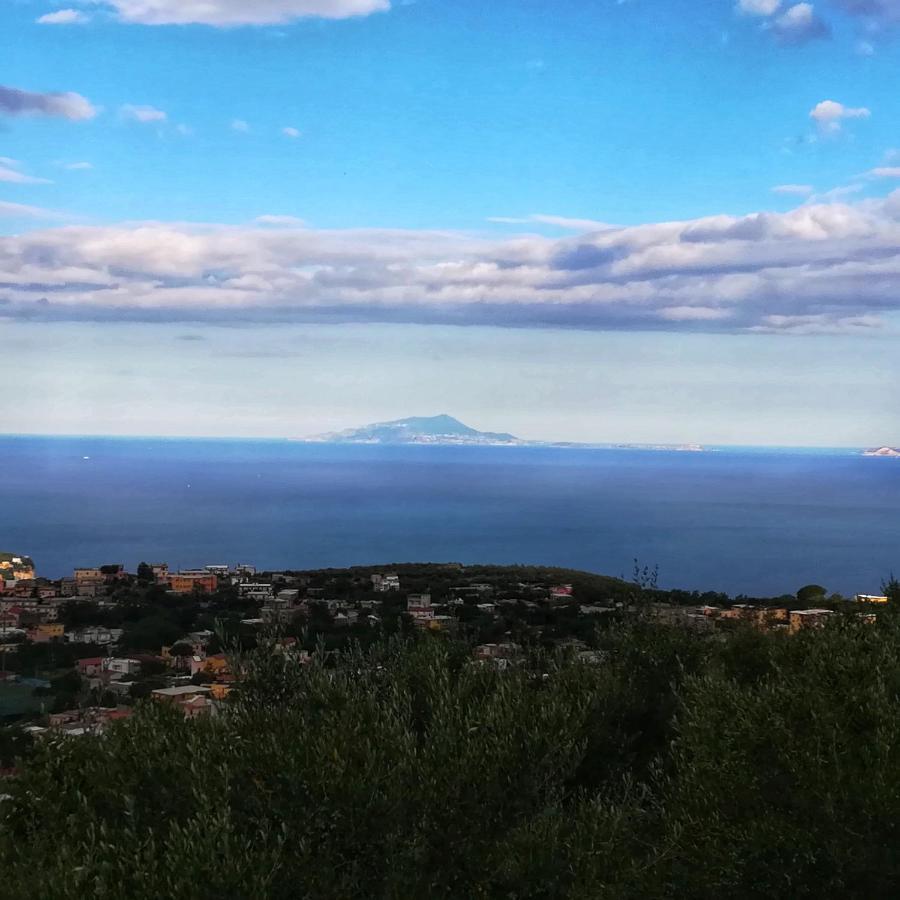 La Mandra, Cottage Tra Gli Ulivi Vico Equense Buitenkant foto