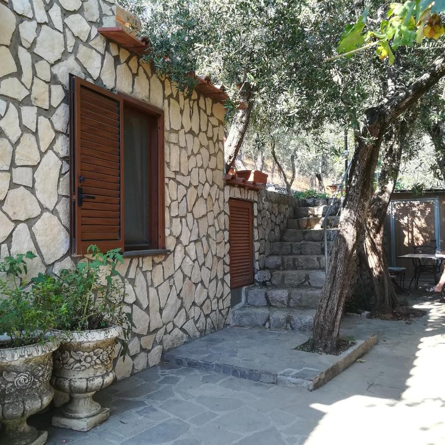 La Mandra, Cottage Tra Gli Ulivi Vico Equense Buitenkant foto