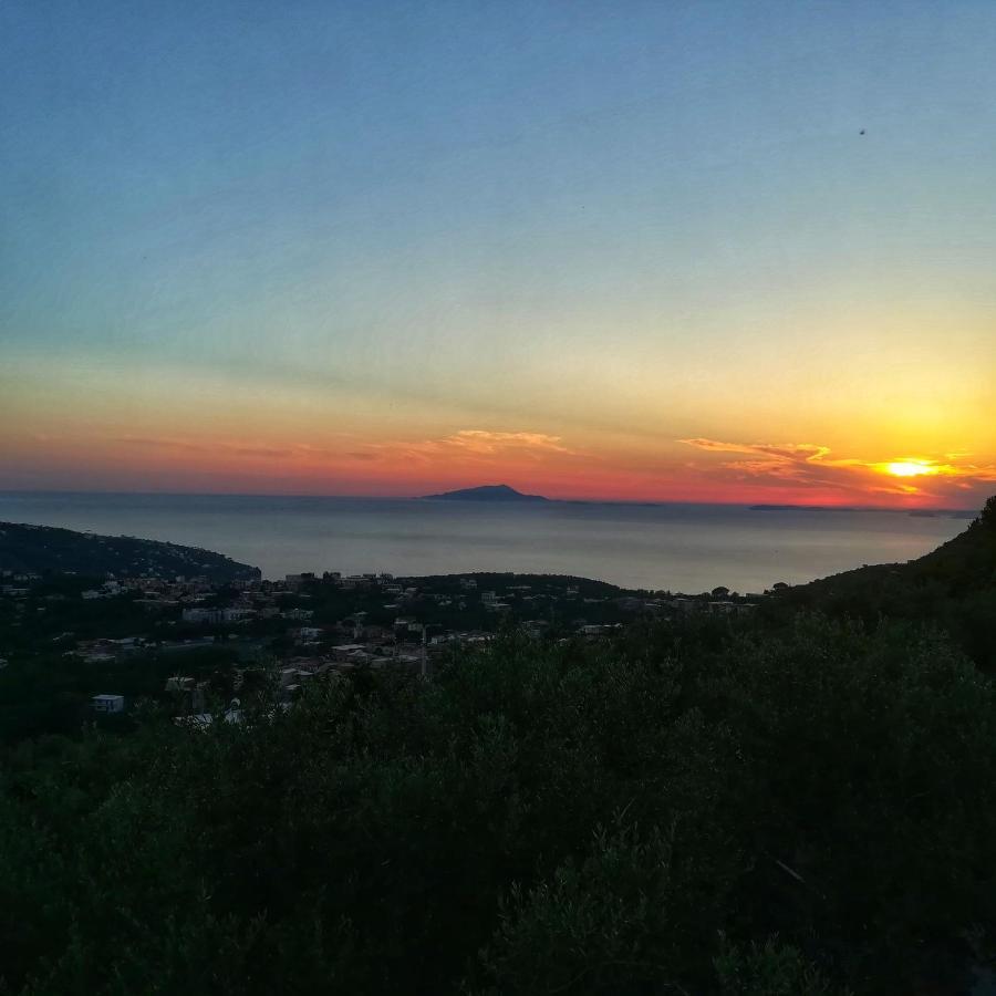 La Mandra, Cottage Tra Gli Ulivi Vico Equense Buitenkant foto