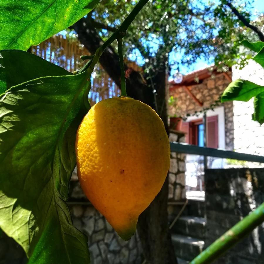La Mandra, Cottage Tra Gli Ulivi Vico Equense Buitenkant foto